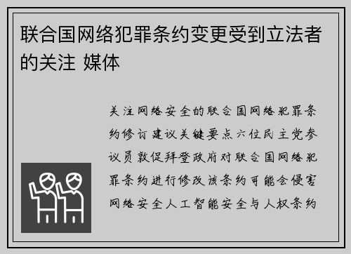 联合国网络犯罪条约变更受到立法者的关注 媒体
